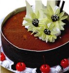 Banhtiramisu-284x&amp;.jpg
